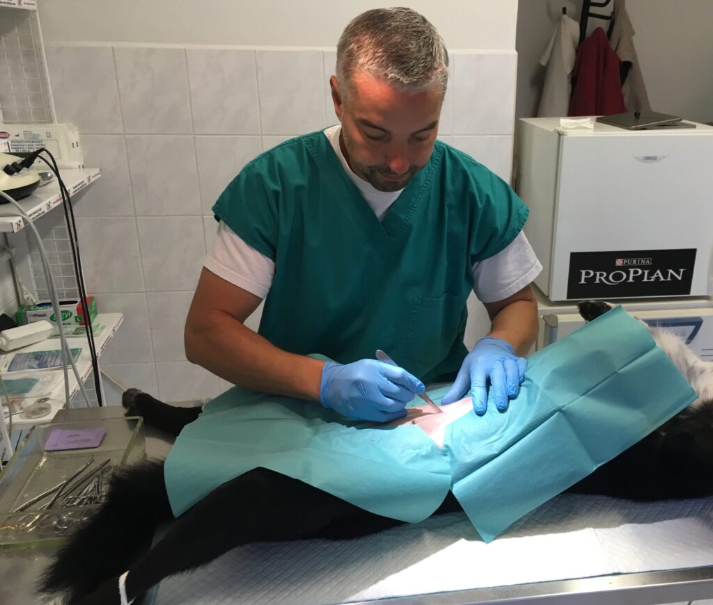 Doktor a Bondy