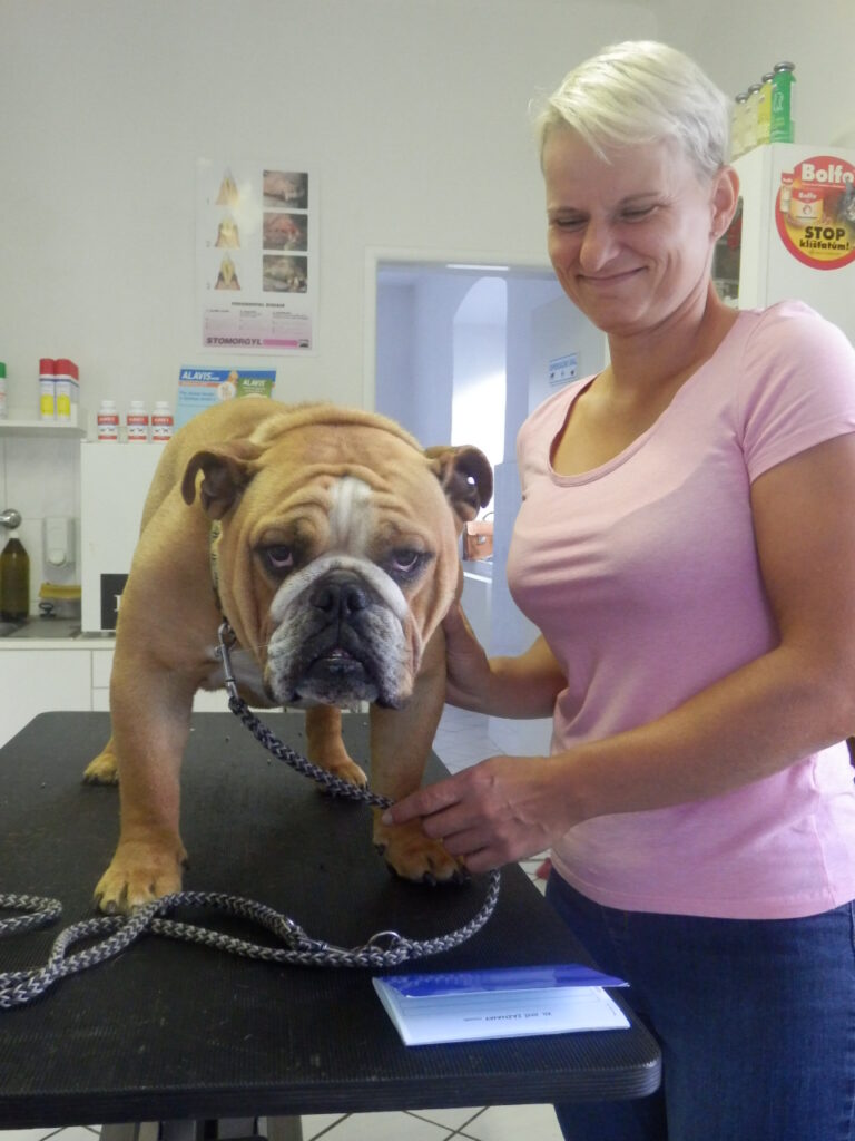 Doktorka a buldog